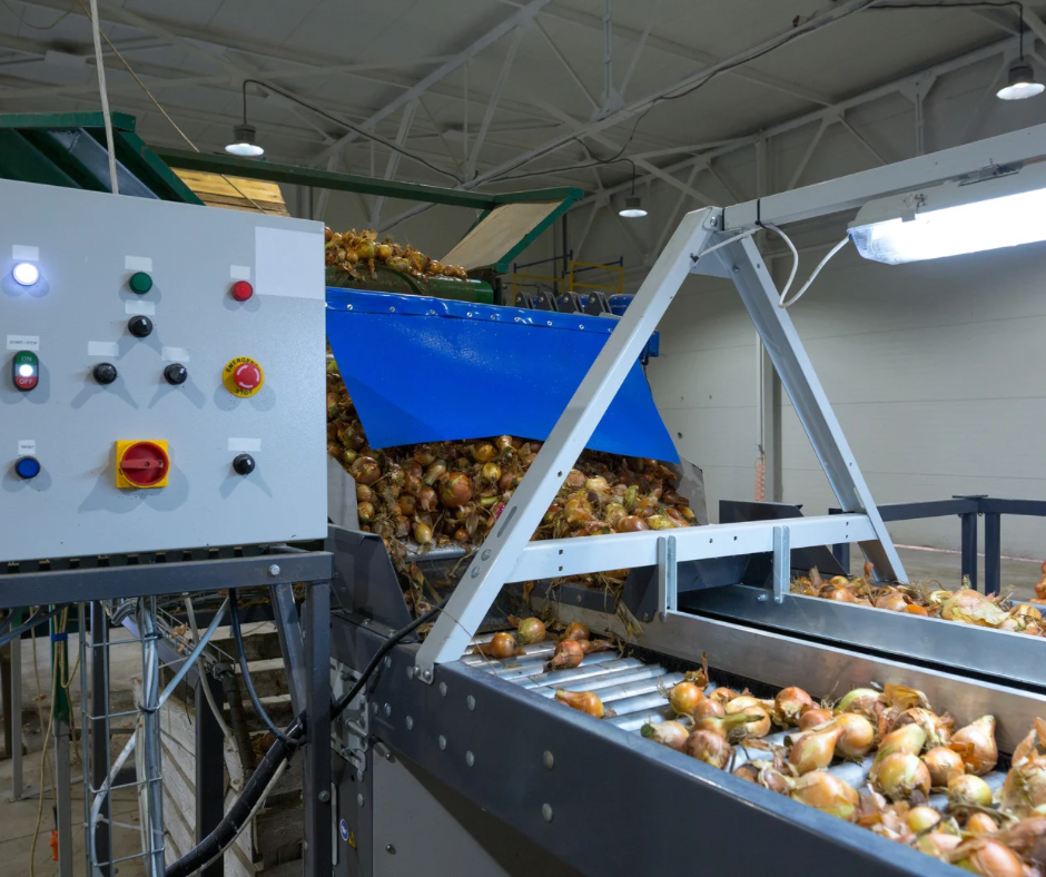 African Freeze Dried Fruit Exporter